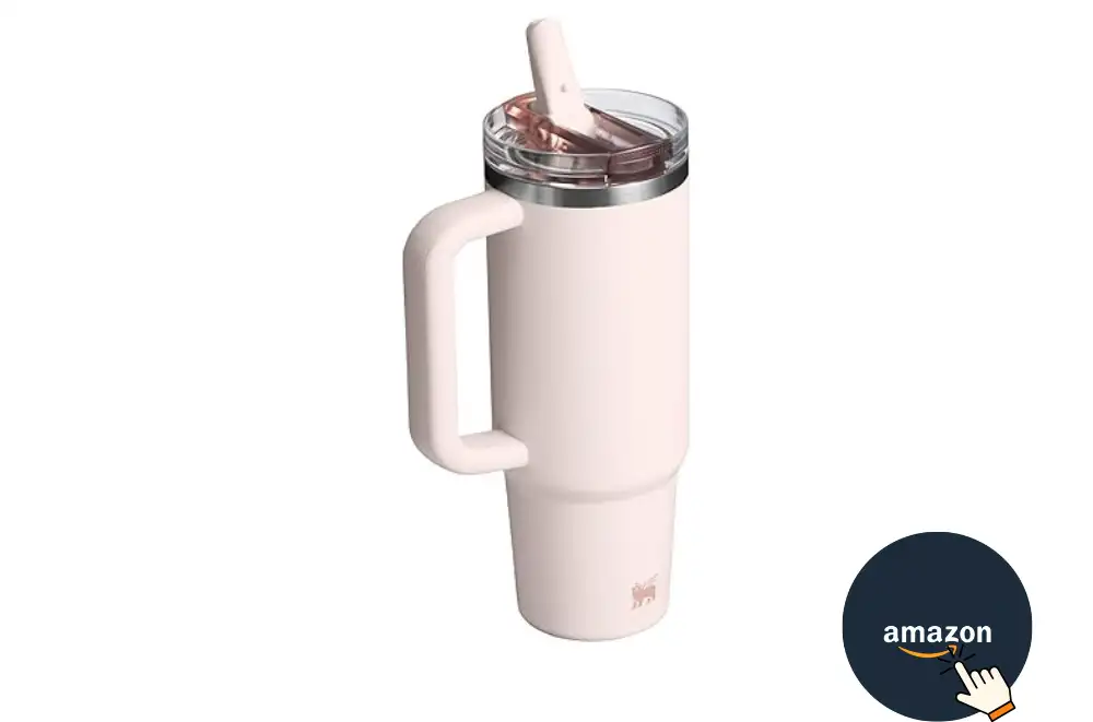 Stanley ProTour Water Bottle Review