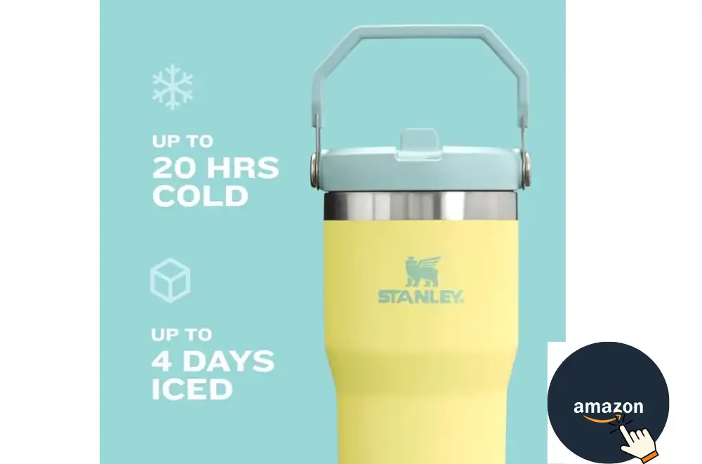 Stanley Water Bottle