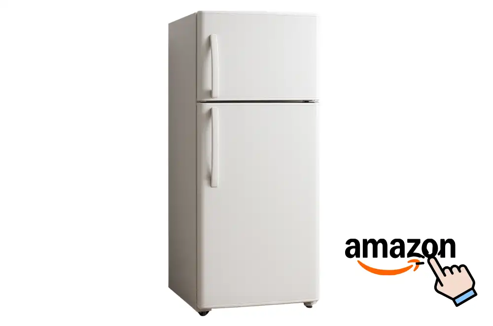 Fridge Vs Refrigerator