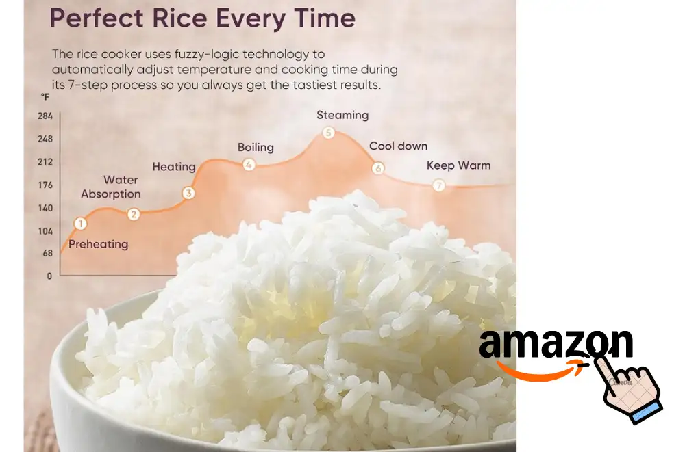 Best Non Toxic Rice Cooker