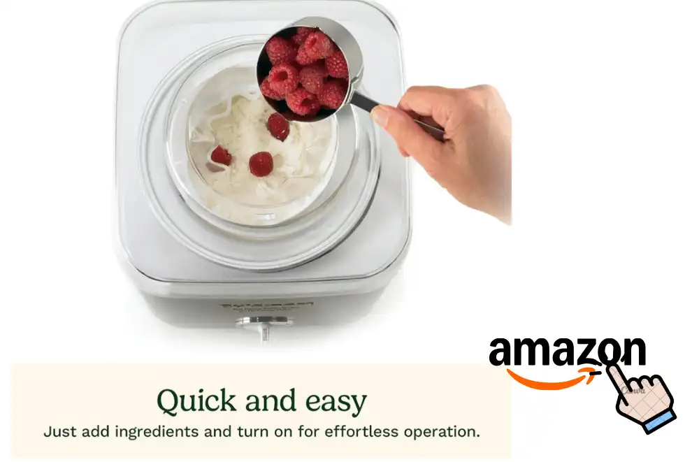 Best Ice Cream Maker for Home