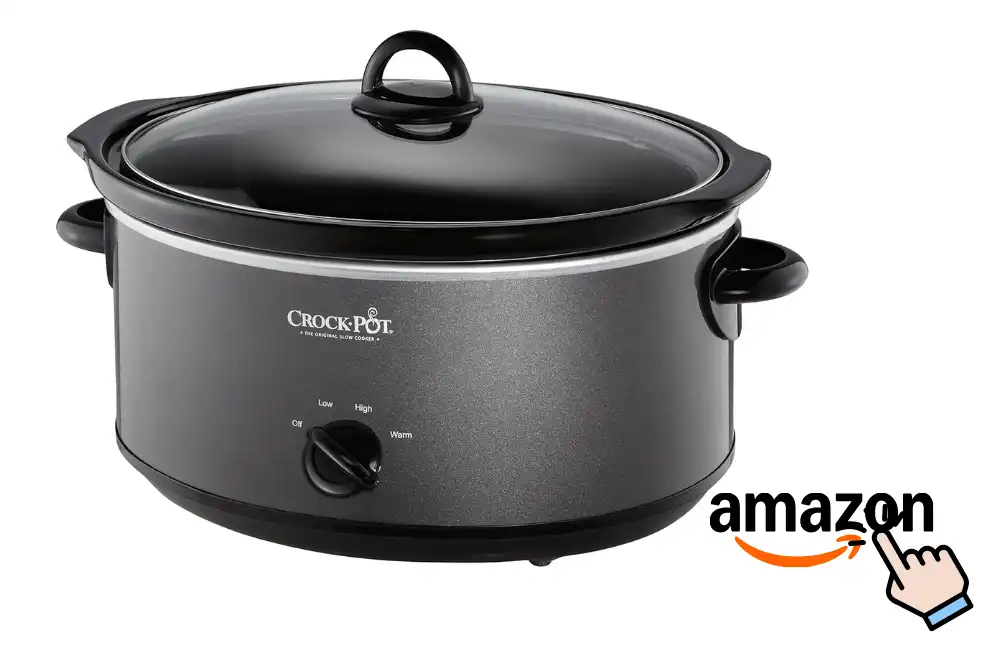 Roaster Oven Vs Crock Pot