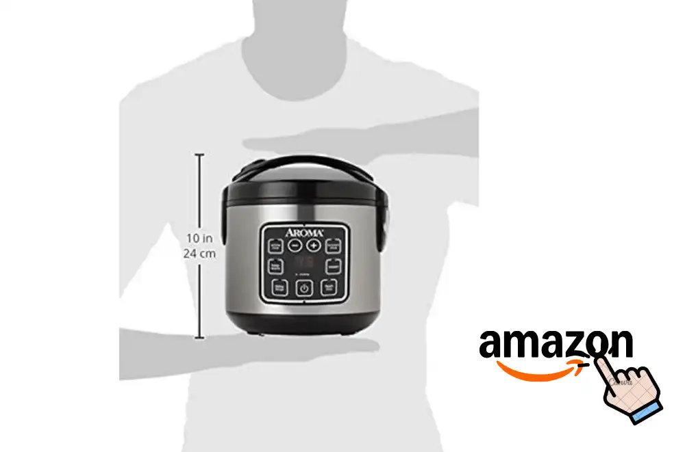 Best Small Rice Cooker