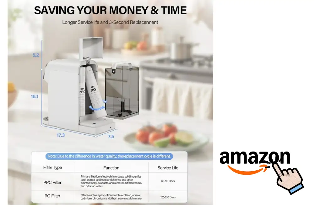 Spring Water Vs Purified Water