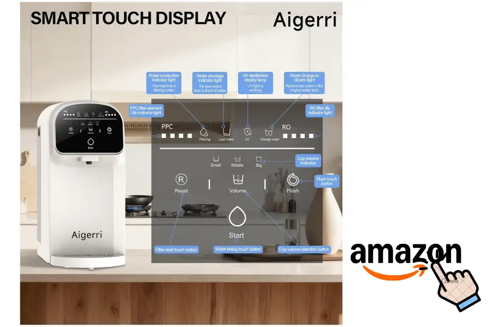 Spring Water Vs Purified Water