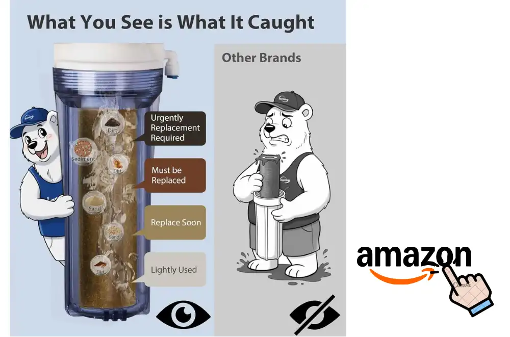 Is Spring Water Better Than Purified Water