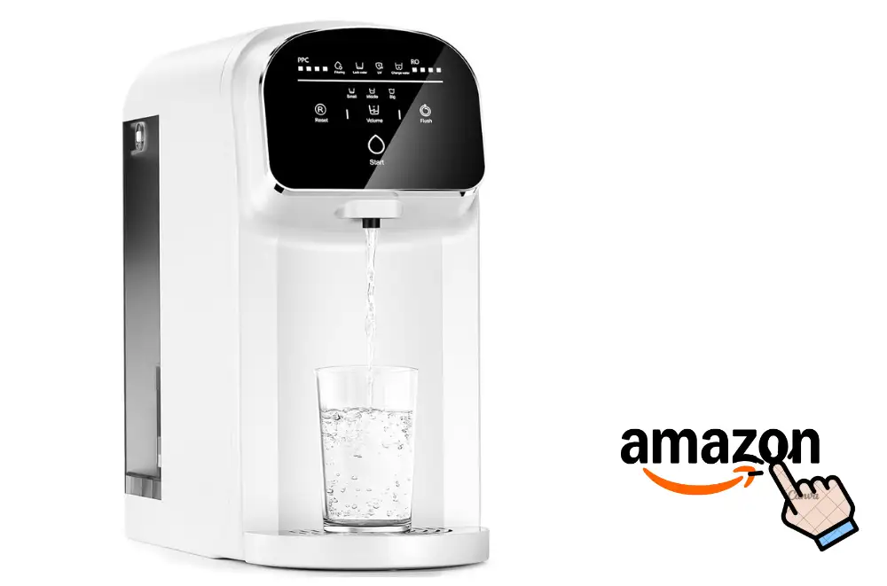 Spring Water Vs Purified Water