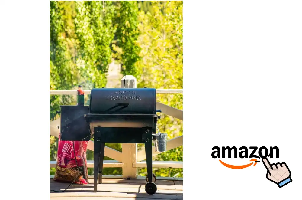 Traeger Grill Vs Green Mountain Grill