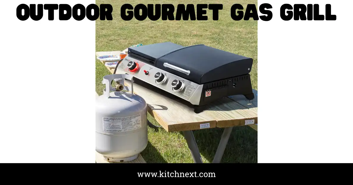 Outdoor Gourmet Gas Grill: Ultimate Tips for Perfect BBQs