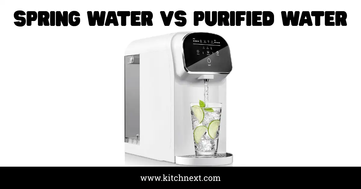 Spring Water Vs Purified Water: Key Differences You Must Know