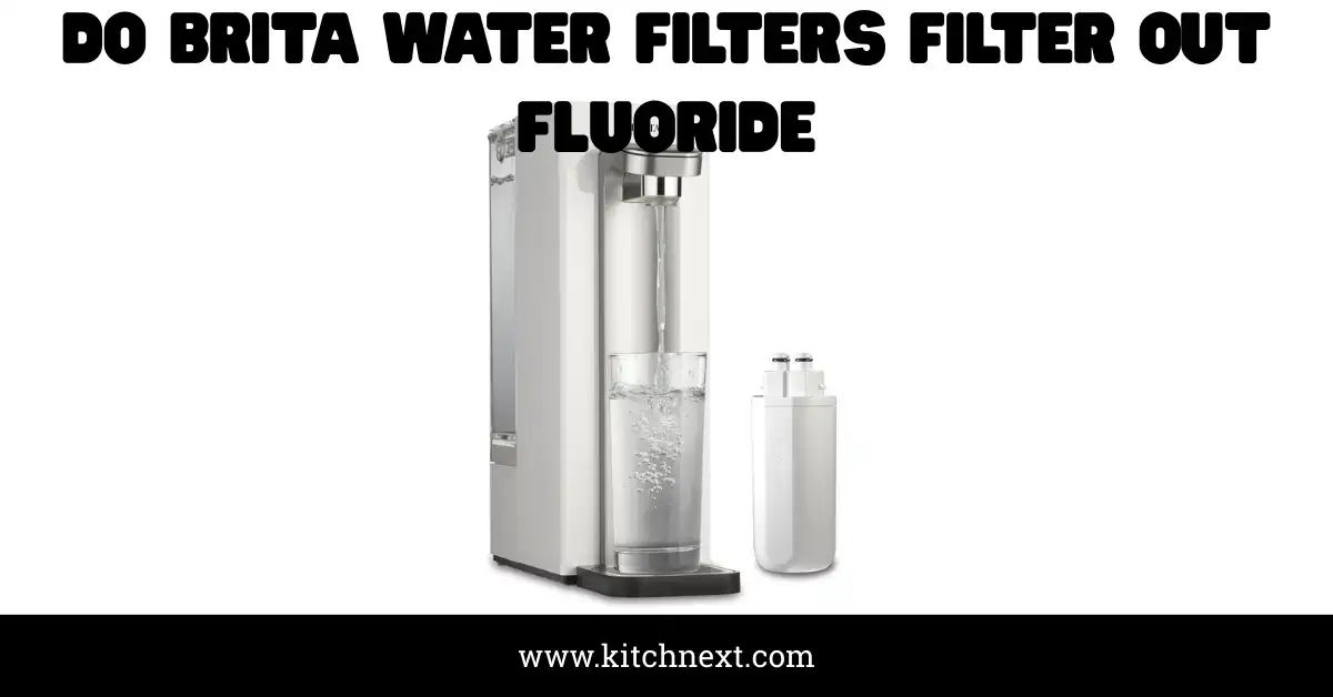 Do Brita Water Filters Filter Out Fluoride: Truth Revealed!