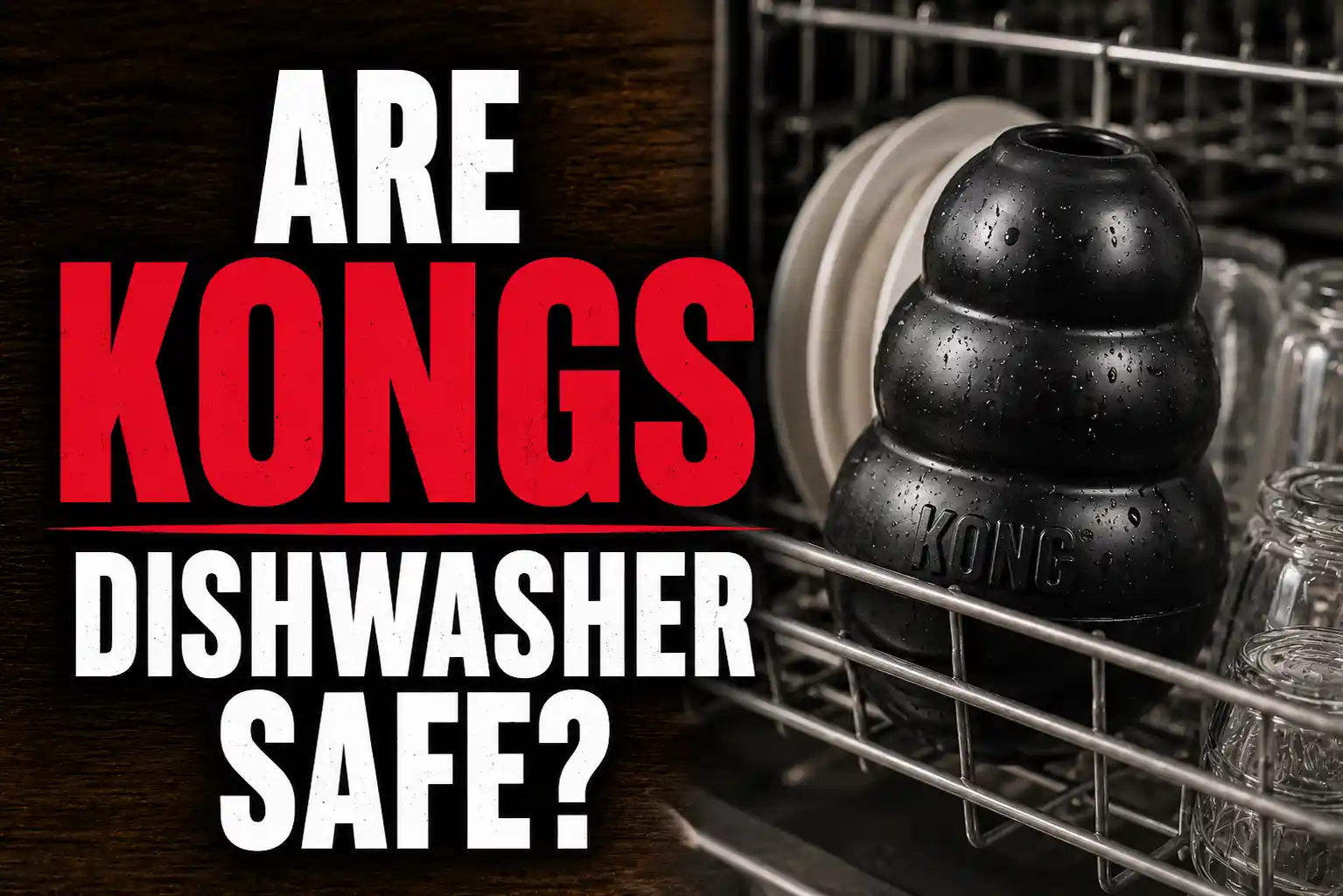Are Kongs Dishwasher Safe? My Honest Answer